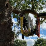 Control Descent Commercial Zip Line Stoke Park
