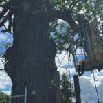 Control Descent Commercial Zip Line Stoke Park